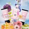 imageHybrid ampamp Company Women Butterfly Fairy 3 Pcs Gift Set40mlPerfumeampamp100mlMistampamp80mlShower GelDelilah Gift Set