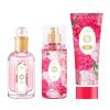 imageHybrid ampamp Company Women Butterfly Fairy 3 Pcs Gift Set40mlPerfumeampamp100mlMistampamp80mlShower GelRose Pink