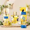 imageHybrid ampamp Company Women Butterfly Fairy 3 Pcs Gift Set40mlPerfumeampamp100mlMistampamp80mlShower GelViva Luck CG