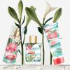 imageHybrid ampamp Company Women Butterfly Fairy 3 Pcs Gift Set40mlPerfumeampamp100mlMistampamp80mlShower GelViva Luck Girl
