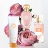 imageHybrid ampamp Company Women Butterfly Fairy 3 Pcs Gift Set40mlPerfumeampamp100mlMistampamp80mlShower GelViva Luck Rose