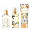 imageHybrid ampamp Company Women Butterfly Fairy 3 Pcs Gift Set40mlPerfumeampamp100mlMistampamp80mlShower GelYellow Flower
