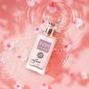 imageHybrid ampamp Company Women Amazing Glod Pour Femme Eau De Parfum Vaporisateur Natural Spray 34 Fl OzMidnight Raw Flowers