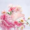 imageHybrid ampamp Company Women Cherie De France Eau De Parfum Natural Spray Vaporisateur 34 Fl OzPINK SKY