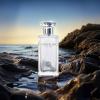 imageHybrid ampamp Company Mind Your Happy Wanted Pour Homme For Men Eau De Toilette Vaporisateur Natural Spray 34 Fl OzChevalier