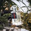 imageHybrid ampamp Company Mind Your Happy Wanted Pour Homme For Men Eau De Toilette Vaporisateur Natural Spray 34 Fl OzHero Nior For Men
