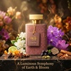 image:imageHybrid amp Company Mens 2Pcs Fragrance Mystery Box Eau De Parfum Collection  Random scent selection 34 Fl Oz per bottle surprise fragrance experience giftready collection suitable for daily wearSupprise variety scents